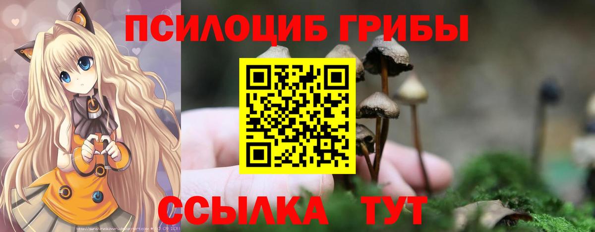 Обь  Галлюциногенные грибы мухоморы  Вход с VPN 